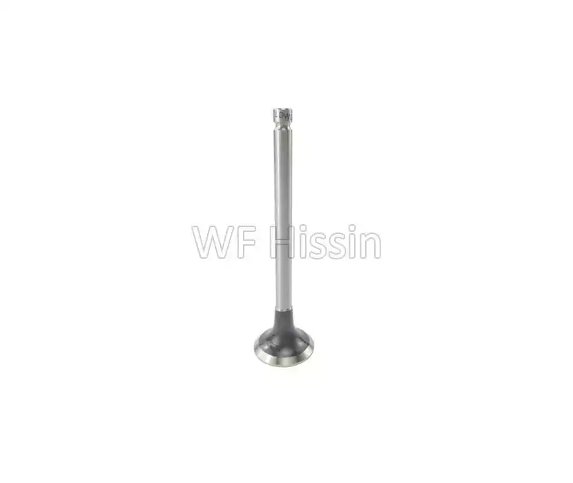 Exhaust valve 4L22